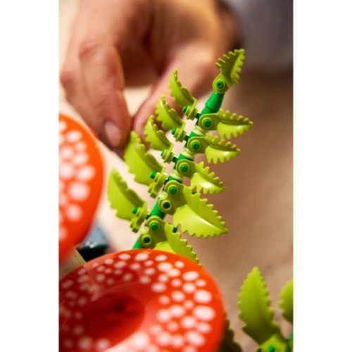 Конструктор LEGO Botanicals Лісові гриби (11505)