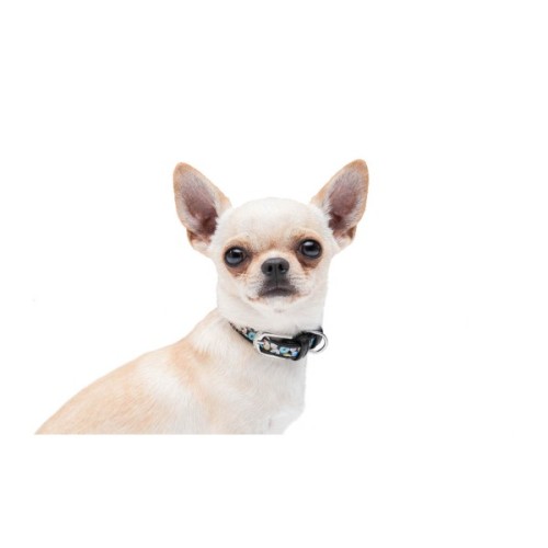 Нашийник для тварин WAUDOG Design з QR паспортом "Пончики" Ш 35 мм Д 46-59 см чорний (37151)