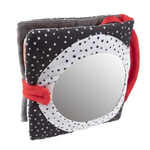 Розвиваюча іграшка Canpol книжечка розвиваюча BabiesBoo Панда (68/088)