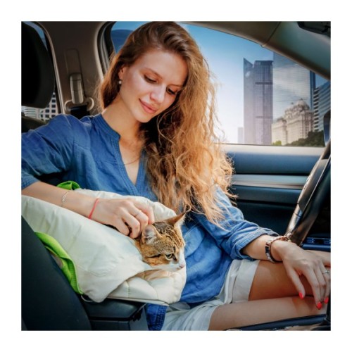 Переноска для тварин WAUDOG Relax Eco 44х35х22 см для котів та дрібних порід собак до 8 кг (9988)