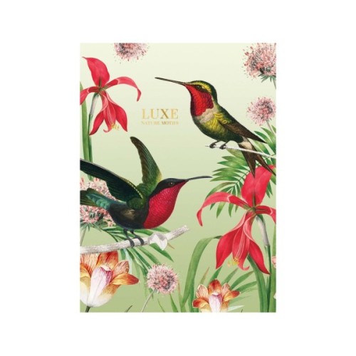 Зошит Школярик А4 Student лінія 40 аркушів (A4-040-548L)