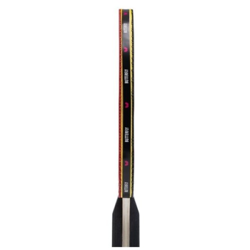 Комплект для настільного тенісу Butterfly Racket Set Easy 2 Bats 3 Balls (6257623202) (932197)