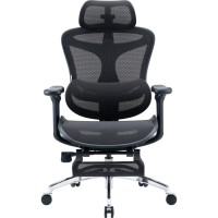 Офісне крісло Sihoo з підставкою для ніг DORO C300L Mesh Black with footrest (DORO-C300L-A3-101-JT)