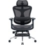 Офісне крісло Sihoo з підставкою для ніг DORO C300L Mesh Black with footrest (DORO-C300L-A3-101-JT)