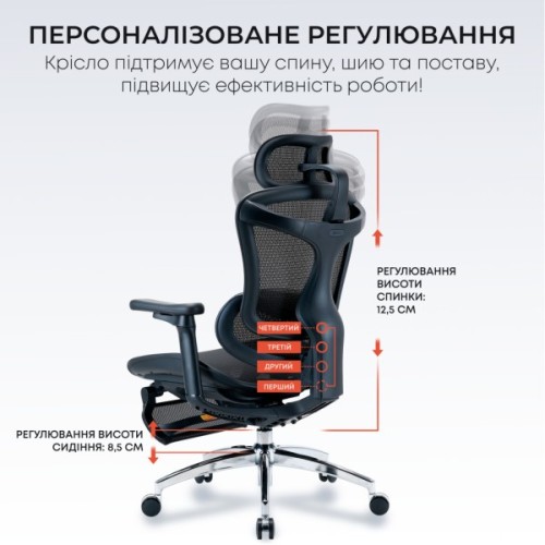 Офісне крісло Sihoo з підставкою для ніг DORO C300L Mesh Black with footrest (DORO-C300L-A3-101-JT)
