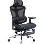 Офісне крісло Sihoo з підставкою для ніг DORO C300L Mesh Black with footrest (DORO-C300L-A3-101-JT)