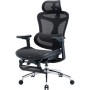 Офісне крісло Sihoo з підставкою для ніг DORO C300L Mesh Black with footrest (DORO-C300L-A3-101-JT)