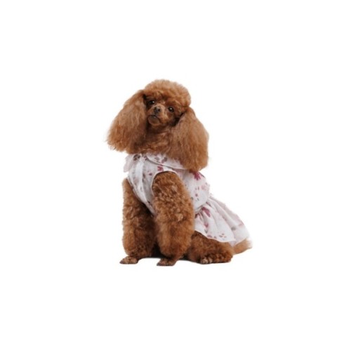 Сукня для тварин Pet Fashion Amelia S (4823082446445)