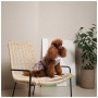 Сукня для тварин Pet Fashion Amelia S (4823082446445)