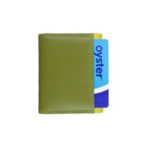 Гаманець Visconti RB126 Zanzibar Lime Multi (RB126 LIME M)
