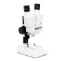 Мікроскоп Sigeta MS-244 20x LED Bino Stereo (65234)
