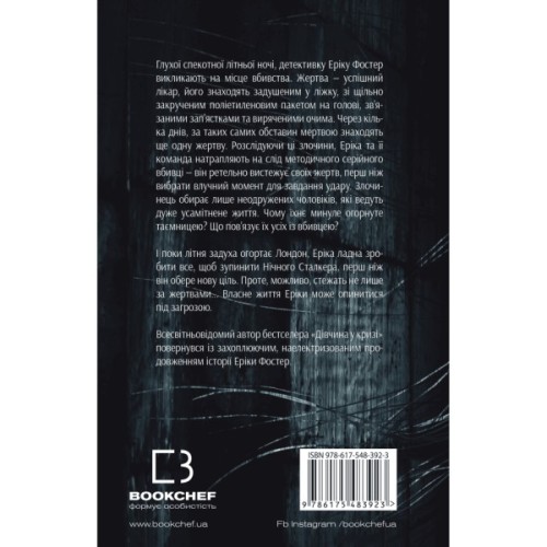 Книга Нічний Сталкер - Роберт Бриндза BookChef (9786175483923)