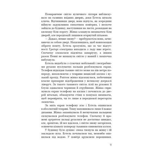 Книга Нічний Сталкер - Роберт Бриндза BookChef (9786175483923)