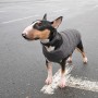 Жилет для тварин Pet Fashion "E.Vest" M2 сірий (4823082424405)