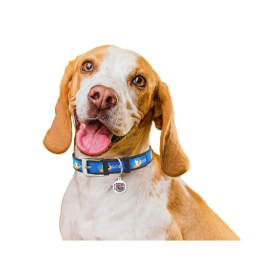 Нашийник для тварин WAUDOG Design з QR паспортом "Прапор" Ш 12 мм Д 20-28 см чорний (3602-0229-01)