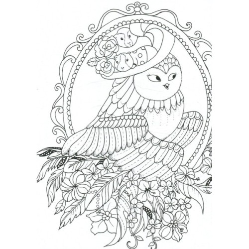 Книга Майже мільйон сов - Лулу Майо Жорж (9786177579006)