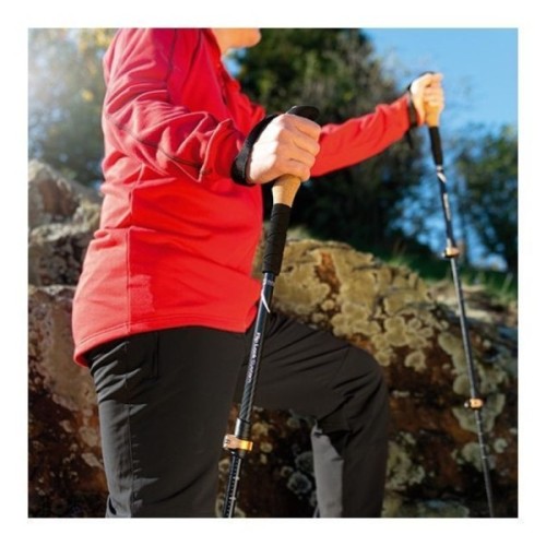 Трекінгові палиці Schwarzwolf Denali чорний (F4800400AJ3)