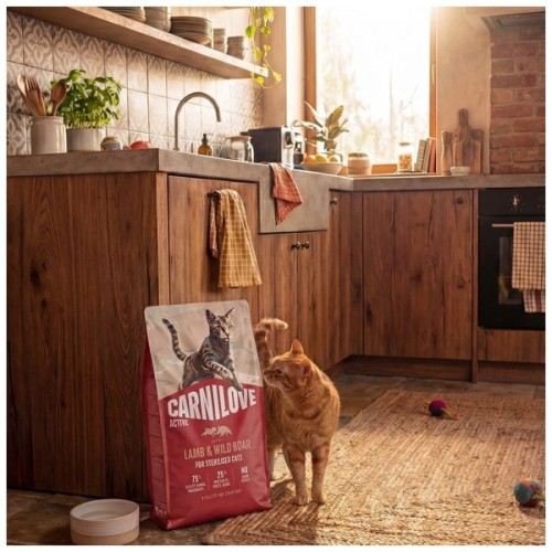 Сухий корм для кішок Carnilove Active Beef & Venison Sterilised 400 г (8595602581672)