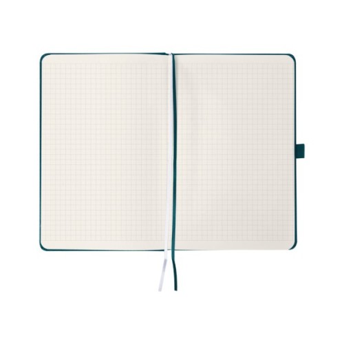 Книга записна Axent Partner Колоски 125x195 мм, 96 аркушів, клітинка, малахітова (8201-31-6-A)