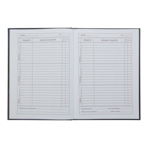 Щоденник шкільний ZiBi Sweet B5 48 аркушів (ZB.13827)