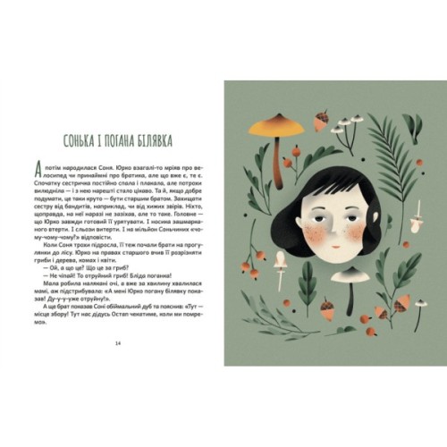 Книга Дубочок з війни - Ганна Осадко Видавництво Старого Лева (9789664482278)