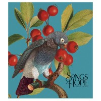 Зошит Школярик Birds 96 аркушів клітинка (096-3410K)