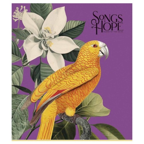 Зошит Школярик Birds 96 аркушів клітинка (096-3410K)