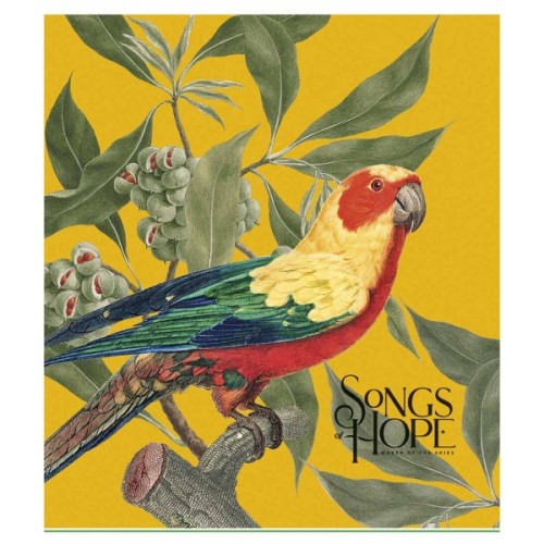 Зошит Школярик Birds 96 аркушів клітинка (096-3410K)