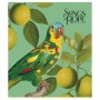 Зошит Школярик Birds 96 аркушів клітинка (096-3410K)