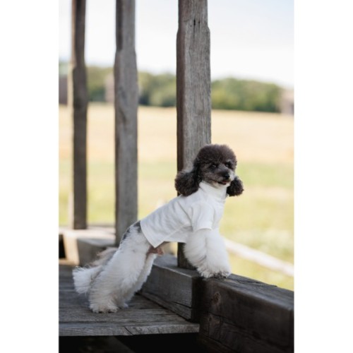 Футболка для тварин Pet Fashion Ostap XS2 (4823082439300)