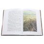 Книга Сказання про дітей Гуріна - Джон Р. Р. Толкін Астролябія (9786176641957)
