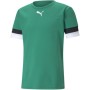 Футболка Puma teamRISE Jersey 704932-05 зелений L (4063699210323)