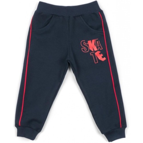 Набір дитячого одягу Breeze "GOOD SKATE" (13263-116B-gray)