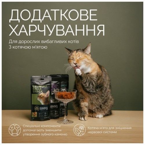 Ласощі для котів Savory Snacks Crunchy Balls кульки з котячою м'ятою 60 г (4820261921335)