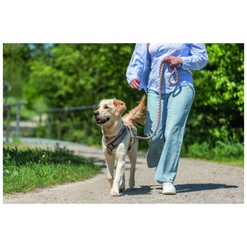 Нашийник для тварин Trixie Cavo напівзашморг S 30–36 см d 12 мм рожево-пісочний (4053032678019)