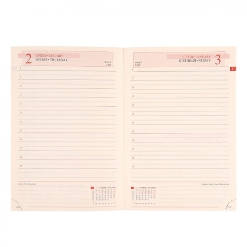 Тижневик Leo planner датований 2025 Brandy А5 368 сторінок (252580)