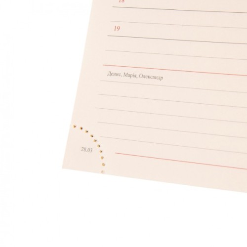 Тижневик Leo planner датований 2025 Brandy А5 368 сторінок (252580)