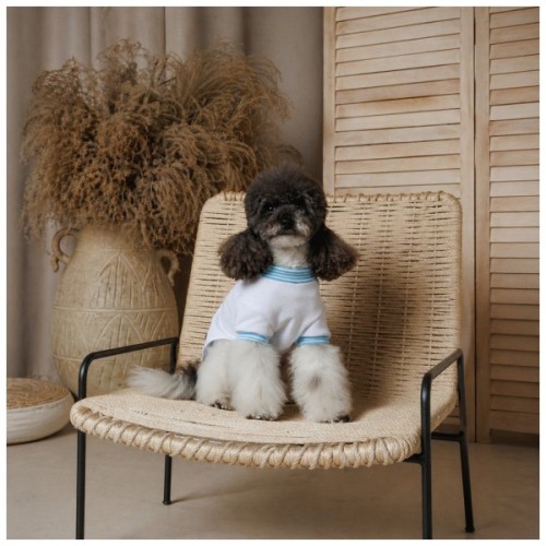 Футболка для тварин Pet Fashion Polo М (4823082446407)