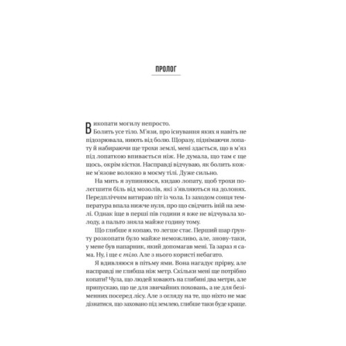 Книга Вчитель - Фріда Мак-Фадден Vivat (9786171709072)