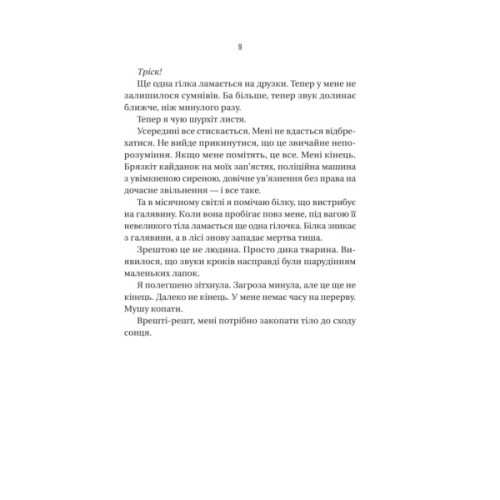 Книга Вчитель - Фріда Мак-Фадден Vivat (9786171709072)