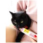 Паста для тварин GimCat Every Day Malt-Soft Paste Extra для виведення шерсті зі шлунку 20 г (4002064417912)
