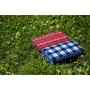Плед Ardesto Picnic 130х170см, 100% поліестер, клітинка синій (ART0916BC)