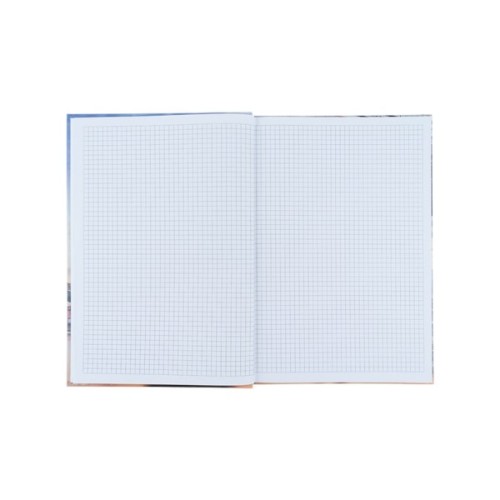 Канцелярська книга Axent Power А4 у твердій обкладинці 96 аркуші клітинка (8422-567-A)