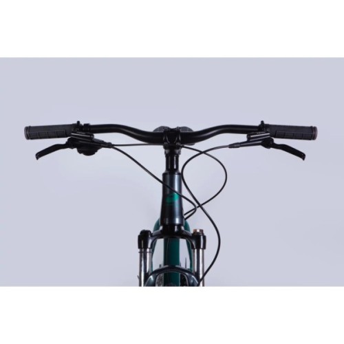 Велосипед Formula 29" ZEPHYR 1.0 HDD рама-19" AL 2026 темно-сріблястий з зеленим (OPS-FR-29-449)