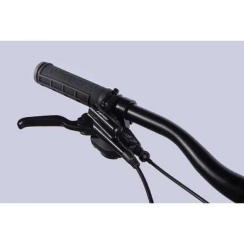 Велосипед Formula 29" ZEPHYR 1.0 HDD рама-19" AL 2026 темно-сріблястий з зеленим (OPS-FR-29-449)