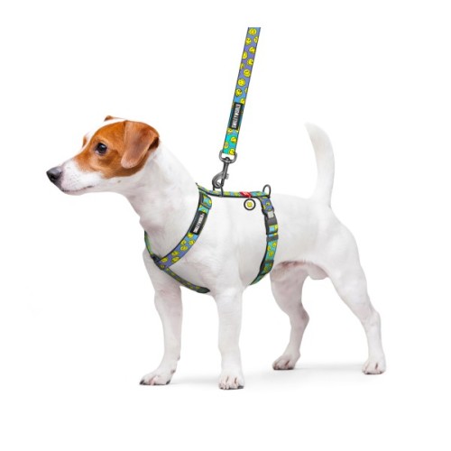 Шлея для собак WAUDOG Nylon анатомічна H-подібна з QR-паспортом "Смайли на блакитному" пластиковий фастекс, XL (346-0182)