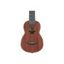 Укулеле Ibanez UKS100-OPN (232727)