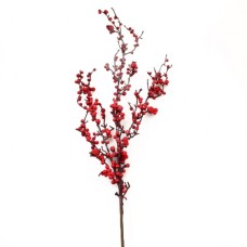 Декоративна гілка YES! Fun з червоними ягодами засніжена, 98 см (973489)