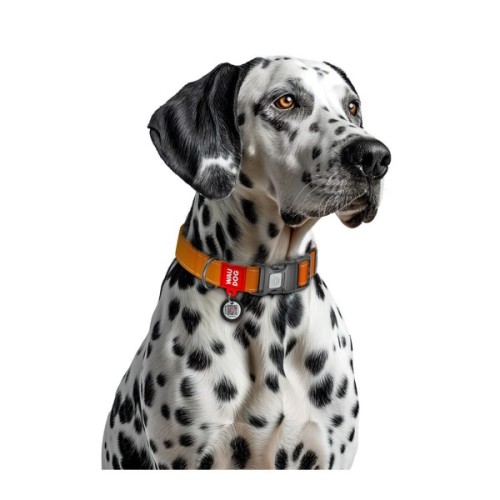 Нашийник для тварин WAUDOG Nylon Mono з QR паспортом, пластиковий фастекс M помаранчевий (52104)