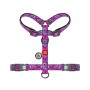 Шлея для собак WAUDOG H-подібна анатомічна Nylon з QR адресником "Око монстра" пластиковий фастекс S (343-4049)